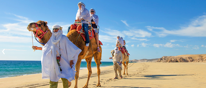 Outback And Camel Safari