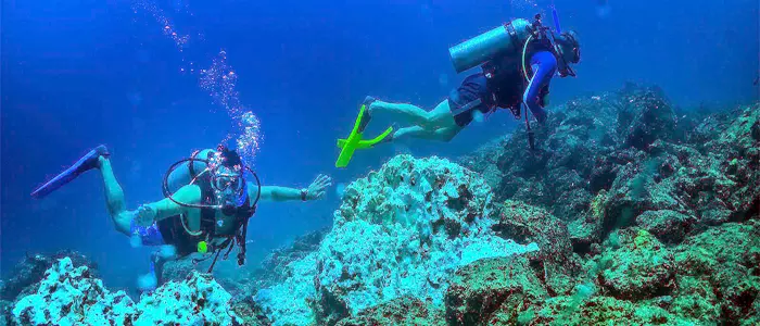 Scuba Diving in Cabo San Lucas